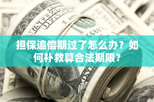 济南担保追偿期过了怎么办？如何补救算合法期限？